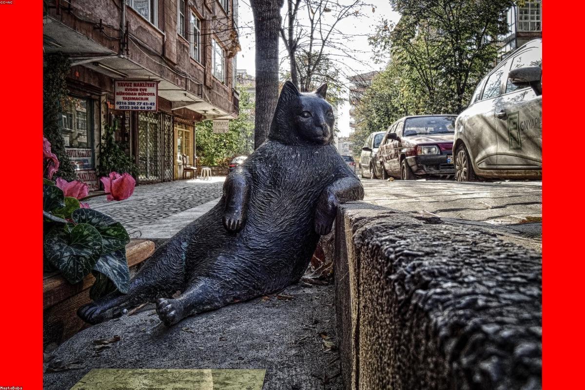 Spring into Action: Local Events This Season